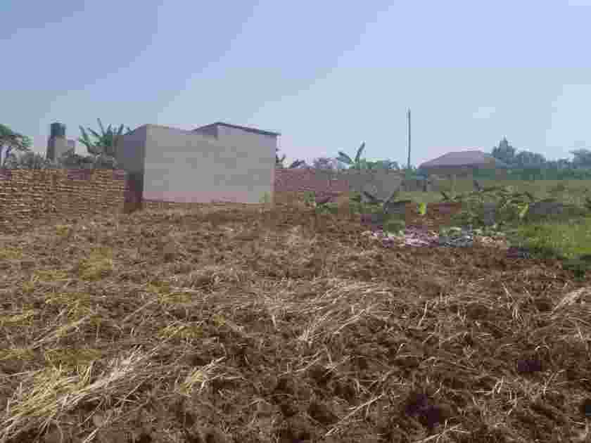 gombe-matu_1579174151wjeQJd.jpeg